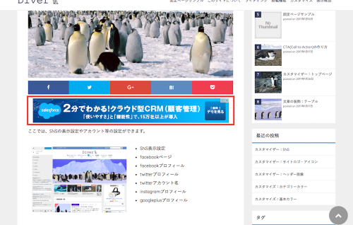 Diverウィジェットエリアその2